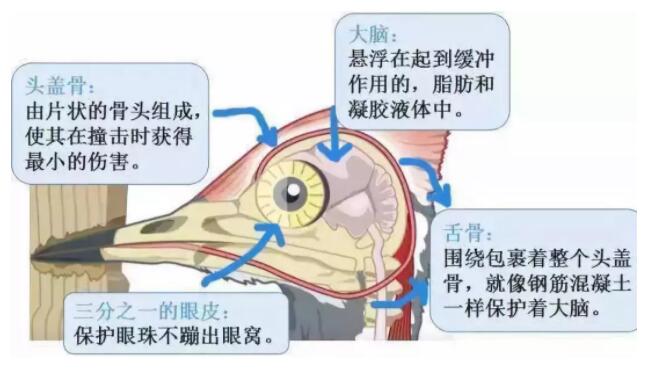 昆明安全帽，安全買冷知識你知道嗎？
